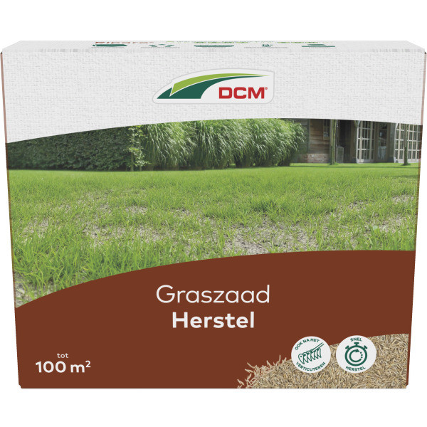 Sier Graszaad voor 500m² Gras | Premium Kwaliteit Graszaad voor een